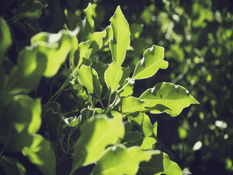 试管不想跟人说（在蚌埠做试管）