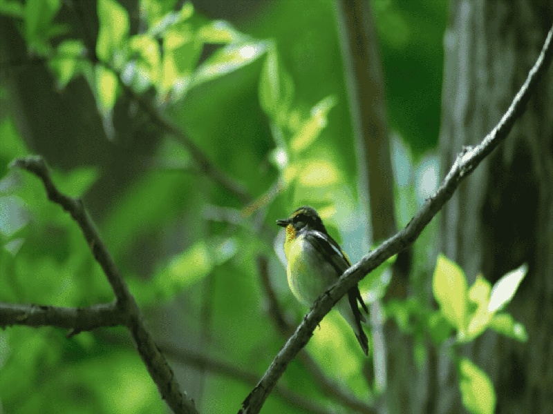 合肥最靠谱的代生,代生咨询：在合肥公立医院可